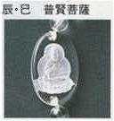 �C�E���@������F�y�^���w�R���T���^���g���c���@��l���i���΂��@�ЂƂ݁j���z