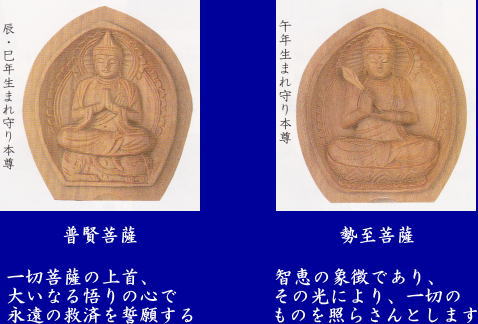 �J�^�O�b�Y�E���